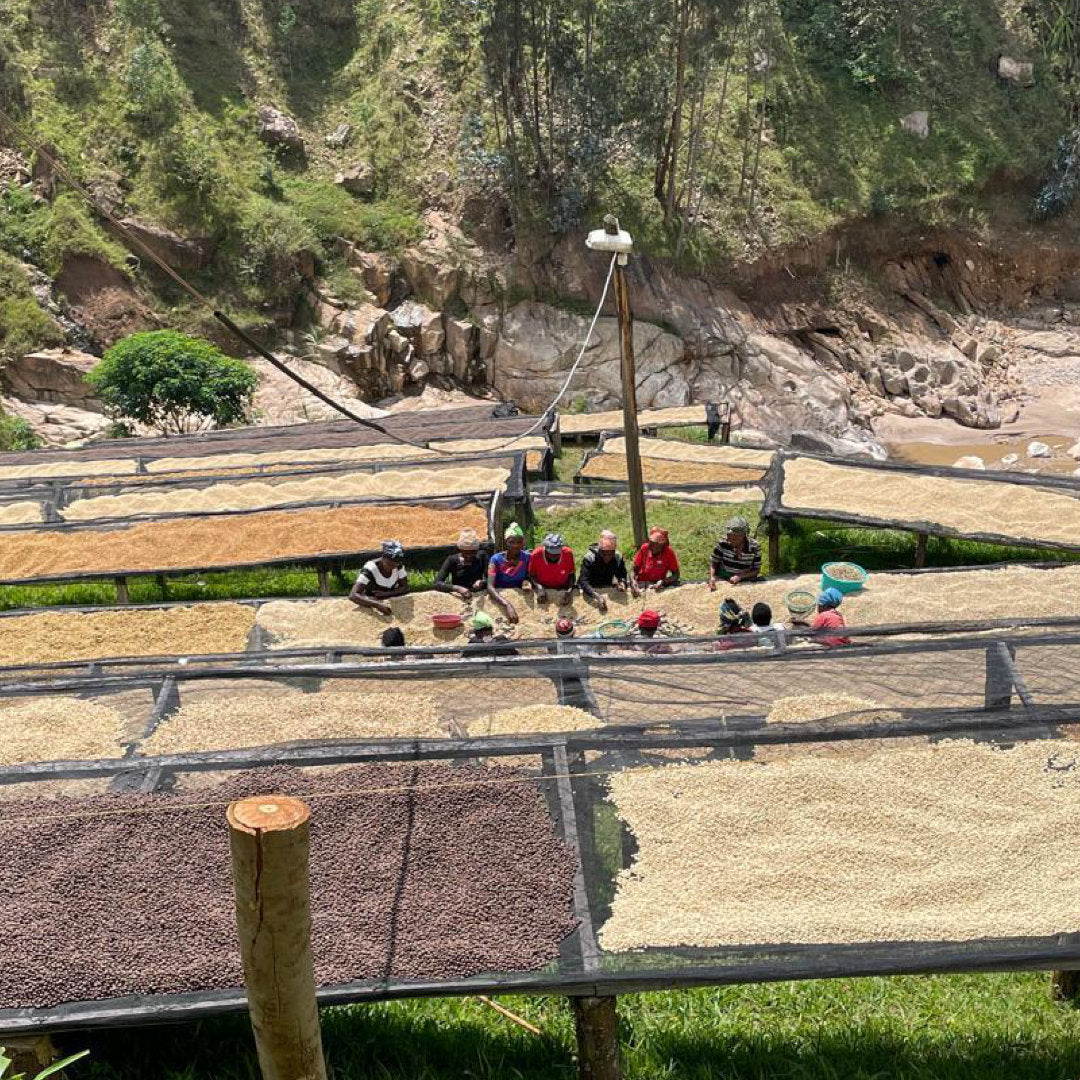 RWANDA Shyira, Filterkaffee