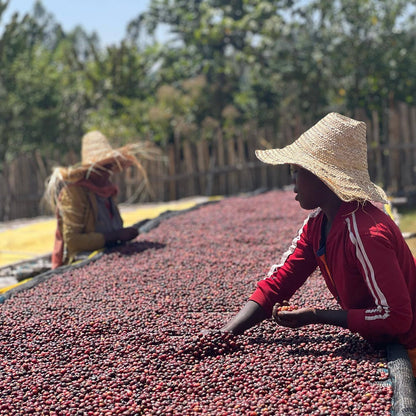 Ethiopia Gara Agena, Filterkaffee