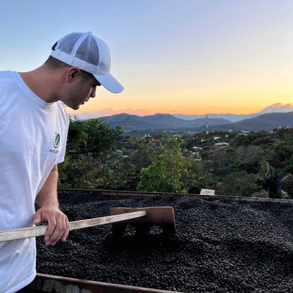 COSTA RICA Finca Matilde, Espresso
