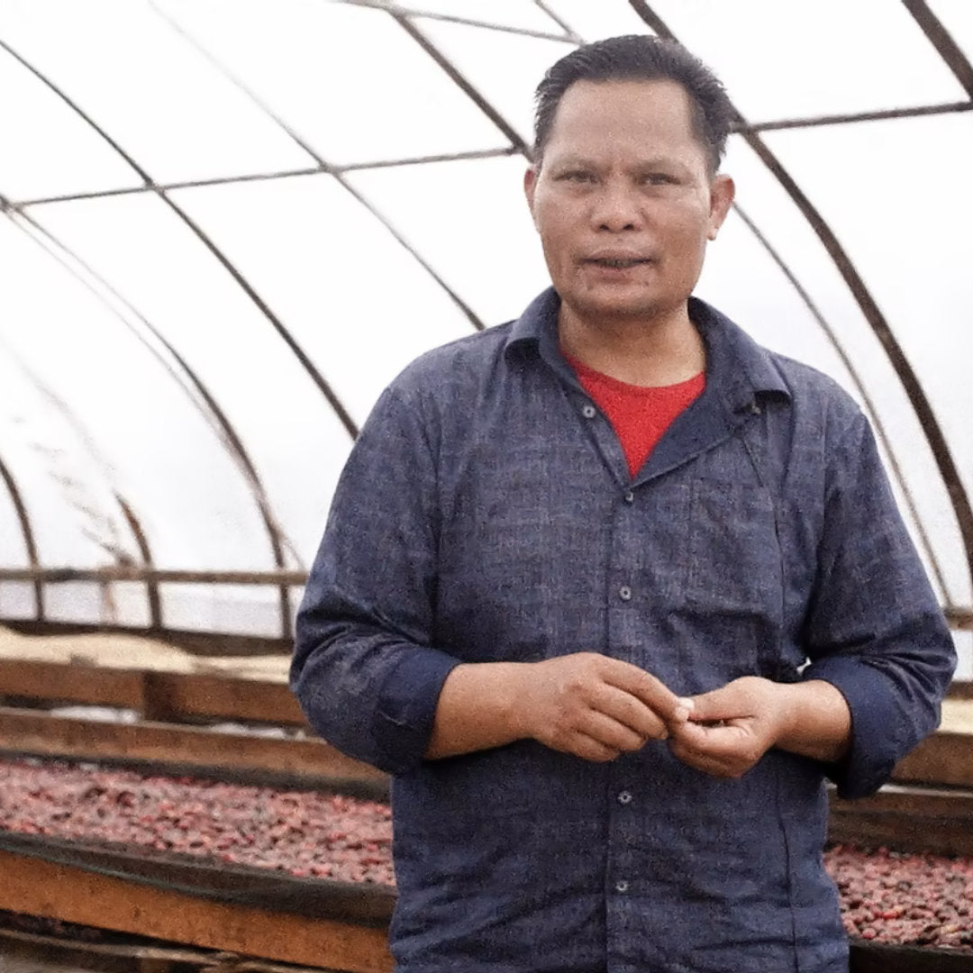 INDONESIA Ribang Gayo, Filterkaffee