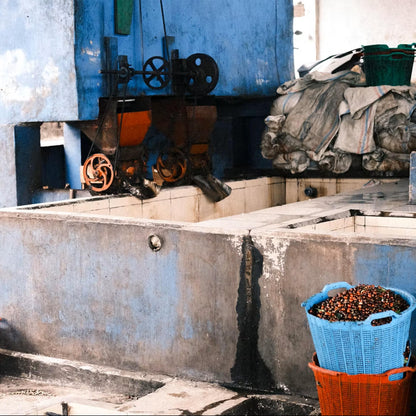 INDONESIA Ribang Gayo, Filterkaffee