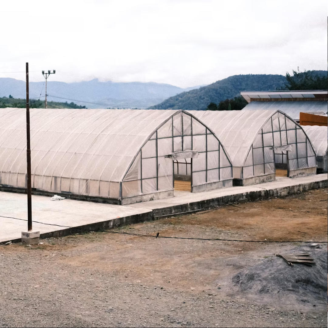 INDONESIA Ribang Gayo, Filterkaffee