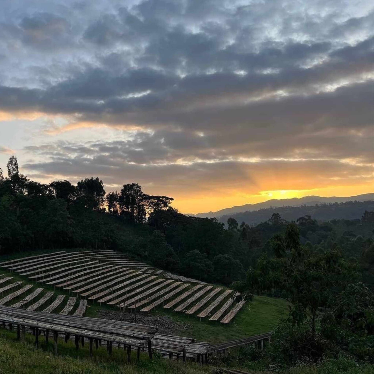 GÜNTER Hausmischung, Espresso