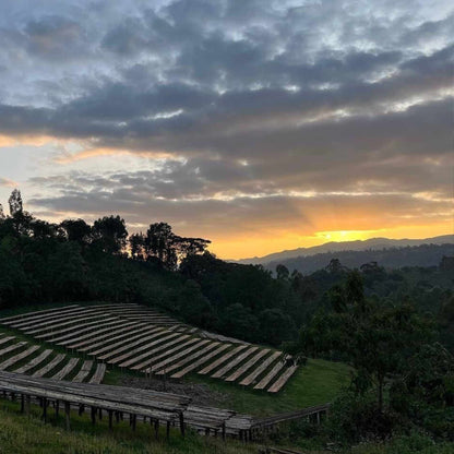 GÜNTER Hausmischung, Espresso