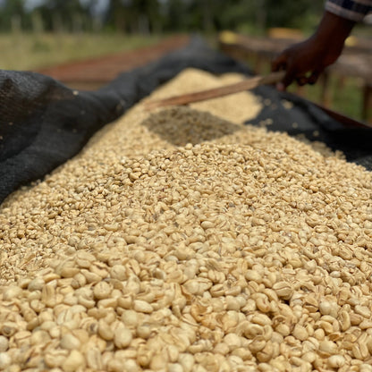 KENYA Gatuyaini, Filterkaffee