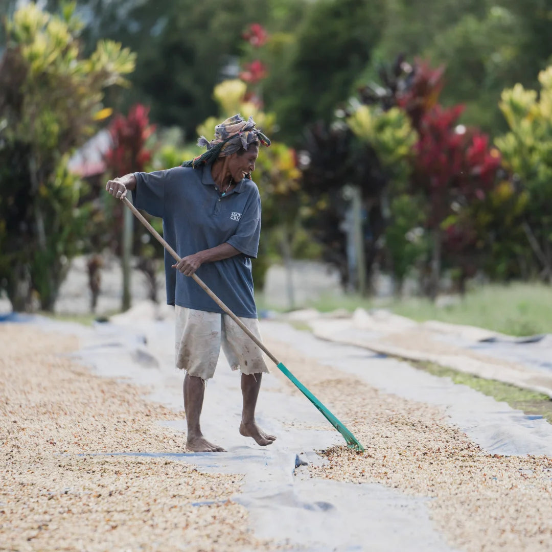 PAPUA NEW GUINEA Kindeng, Espresso