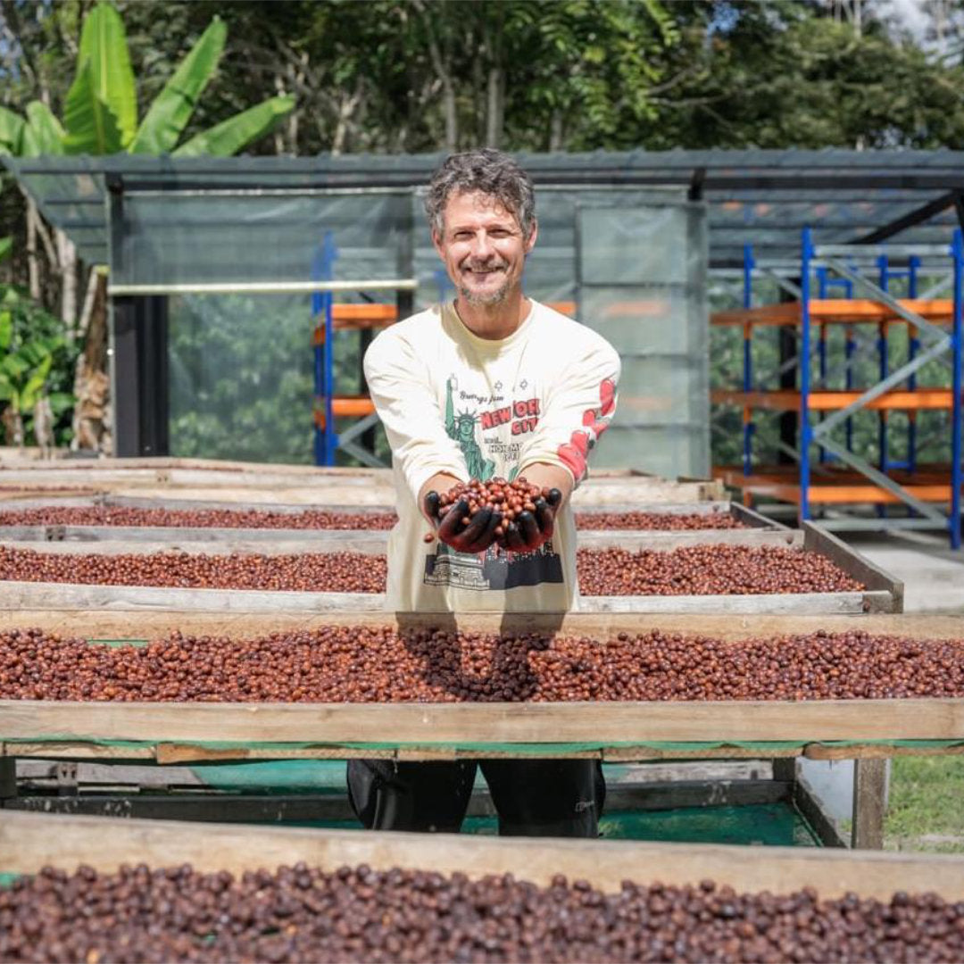 ECUADOR Finca Soledad »Curated by Champions«, Filterkaffee