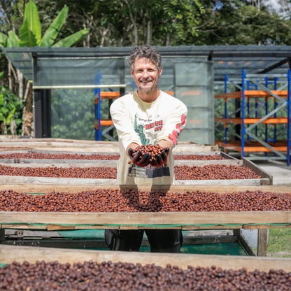 ECUADOR Finca Soledad »Curated by Champions«, Filterkaffee